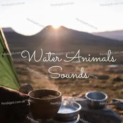 Water Animals Sounds - Lakhan Hire album cover 