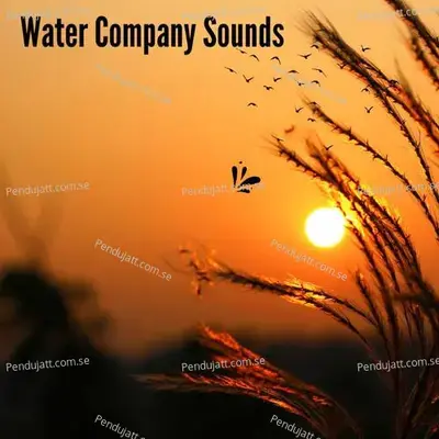 Water Company Sounds - Lakhan Hire album cover 