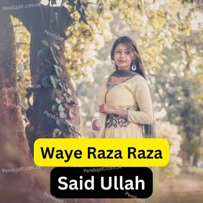 Waye Raza Raza - Said Ullah album cover 