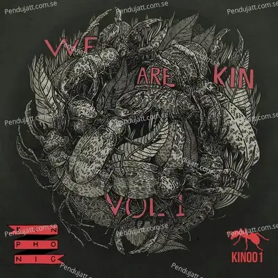 We Are Kin Vol 1 - Various Artists cover album