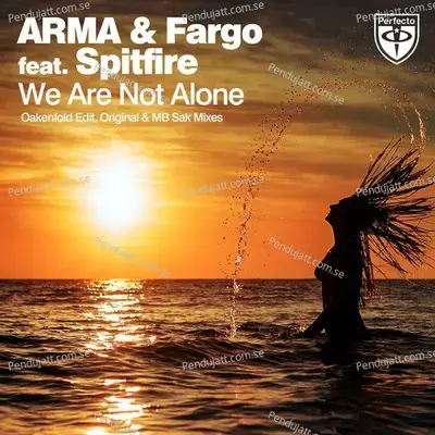 We Are Not Alone - 6 - ARMA album cover 