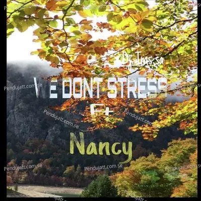 We Don  039 T Stress - Dj Tms sa album cover 