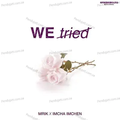 We Tried - MRIK album cover 