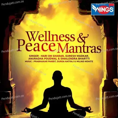 Hanuman Mantra - Ajit Kadkade album cover 