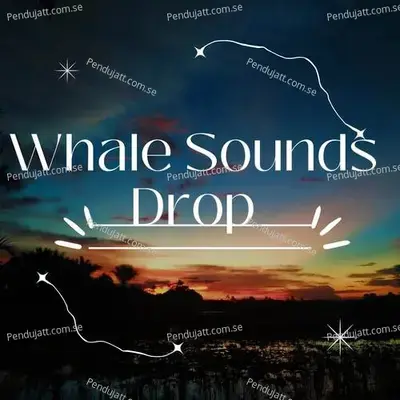 Whale Sounds Drop - Lakhan Hire