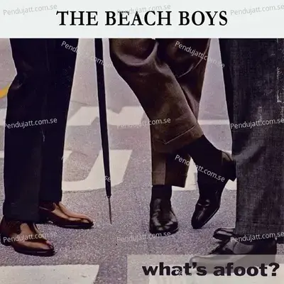 What  039 S Afoot   - The Beach Boys cover album
