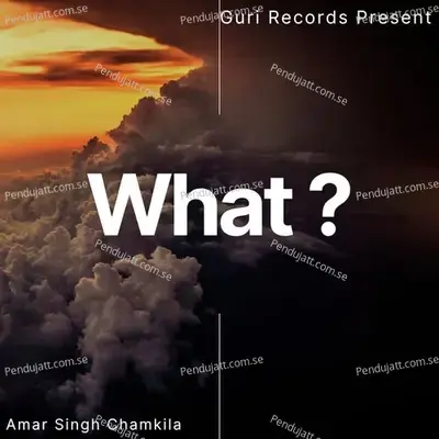 What - Amar Singh Chamkila album cover 