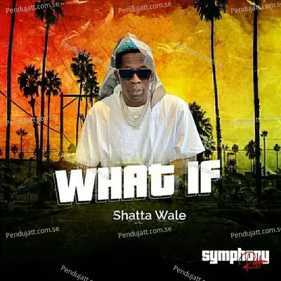 What If - Shatta Wale album cover 