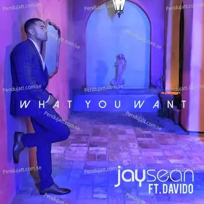 What You Want - Jay Sean album cover 