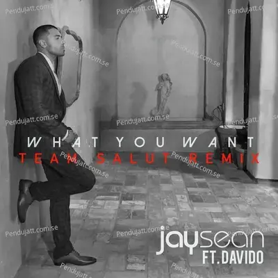 What You Want  Team Salut Remix  - Jay Sean