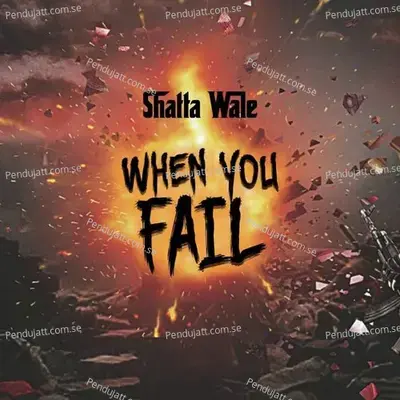 When You Fail - Shatta Wale album cover 