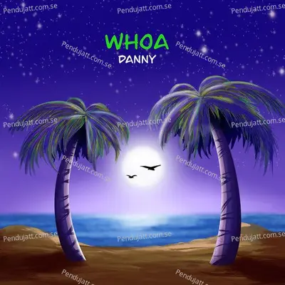 Whoa - Danny album cover 