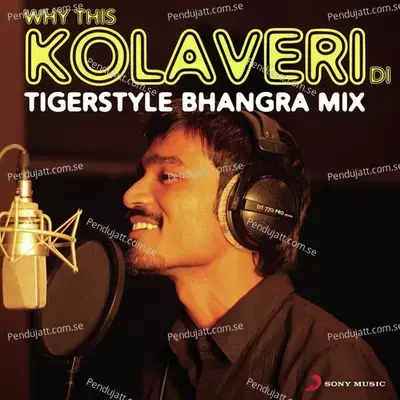 Why This Kolaveri Di  The Tigerstyle Bhangra Mix - Anirudh Ravichander