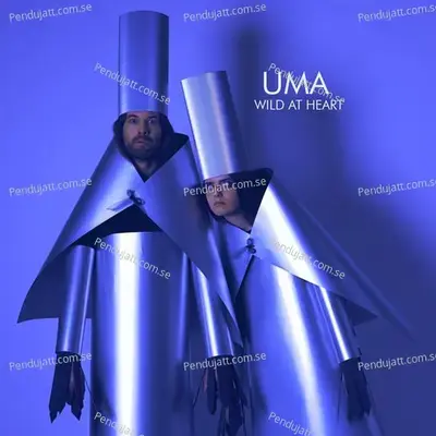 Wild At Heart - Uma cover album