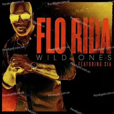 Wild Ones   Moti Remix - Flo Rida album cover 