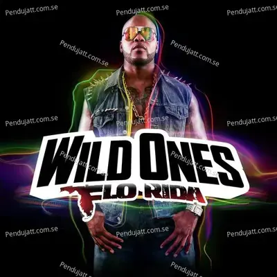 Wild Ones - Flo Rida album cover 