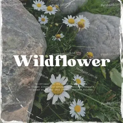 Wildflower - Shrinidhi Ghatate album cover 