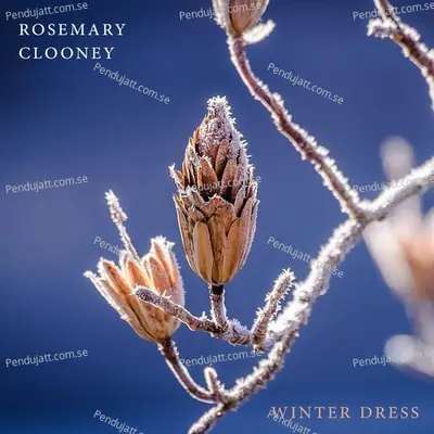 Winter Dress - Rosemary Clooney cover album
