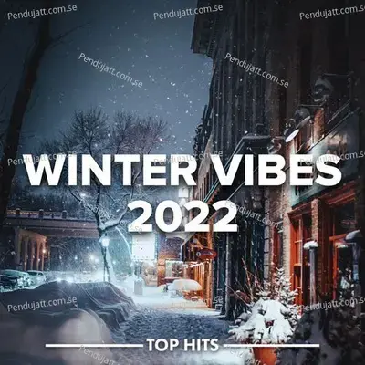 Winter Vibes 2022 - Various Artists cover album