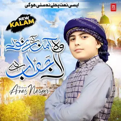 Wo Amna Ke Noor La Jawab Hai - Muhammad Anas Nazeer album cover 