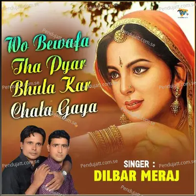 Wo Bewafa Tha Pyar Bhula Kar Chala Gaya - Dilbar Meraj album cover 