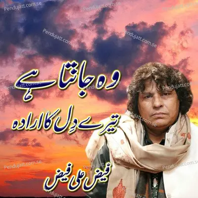 Wo Janta Ha Tere Dil Ka Irada - Faiz Ali Faiz album cover 