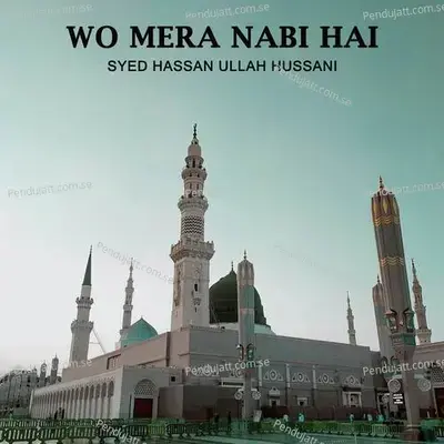 Wo Mera Nabi Hai - Syed Hassan Ullah Hussani album cover 