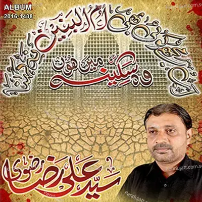 Habib Aao Tumhara Hussain - Syed Ali Raza Rizvi album cover 