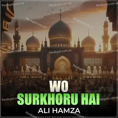 Wo Surkhoru Hai - Ali Hamza album cover 