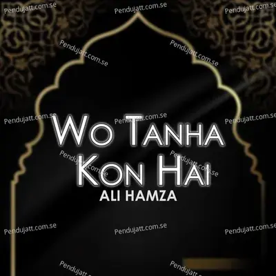 Wo Tanha Kon Hai - Ali Hamza
