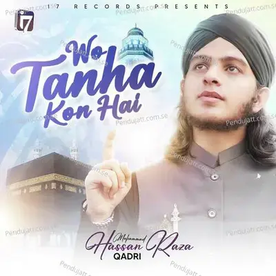 Wo Tanha Kon Hai - Muhammad Hassan Raza Qadri album cover 