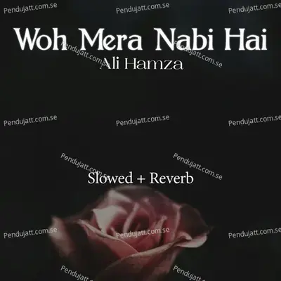 Woh Mera Nabi Hai Lofi - Ali Hamza album cover 
