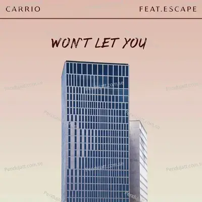 Won  039 T Let You - Carrio album cover 