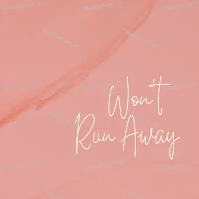 Won   t Run Away - Anonymous album cover 