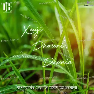 Xeuji Dhoroni Dhuniya - Diptanil Barua album cover 