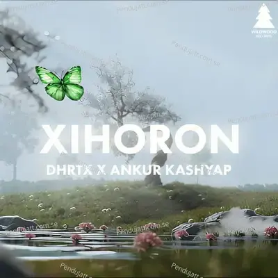 Xihoron - Dhrtx album cover 