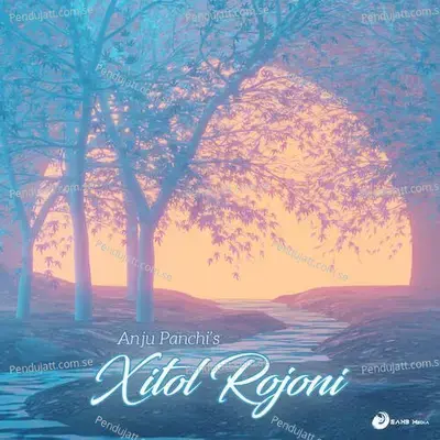 Xitol Rojoni - Anju Panchi album cover 