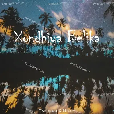 Xondhiya Belika - Tavreed album cover 