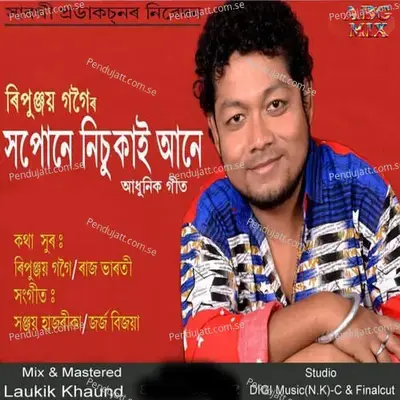 Xopune Nisukai Aane - Ripunjoy Gogoi album cover 