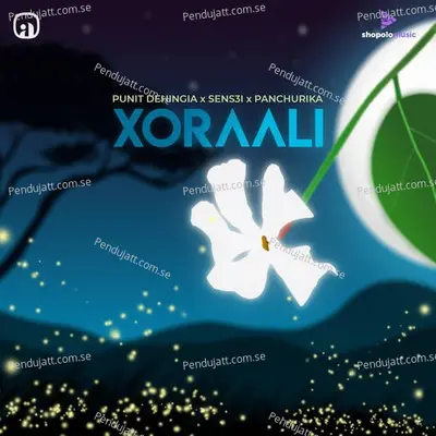 Xoraali - Punit Dehingia album cover 