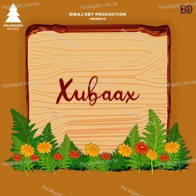 Xubaax - Meghali Krishnatri album cover 