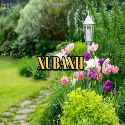 Xubaxh - Nirmali Das album cover 