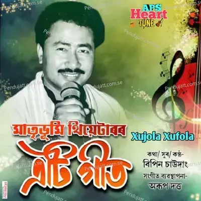 Xujola Xufola Eti Geet - Bipin Chawdang album cover 