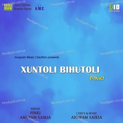 Xuntoli Bihutoli Pinki - Pinki album cover 