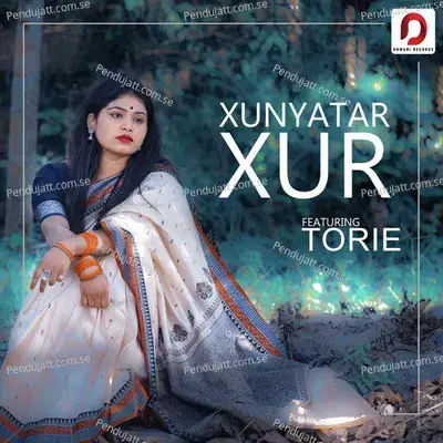 Xunyatar Xur - Torie album cover 