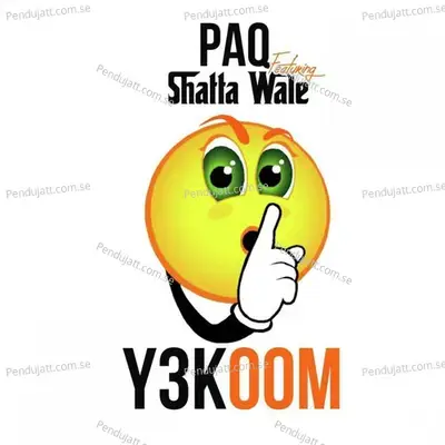 Y3 Koom - PAQ album cover 