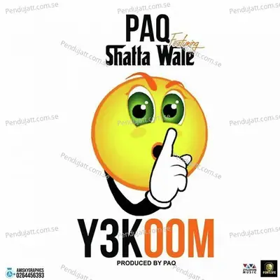 Y3Koom - PAQ album cover 