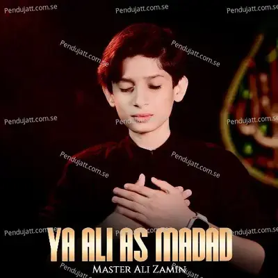 Ya Ali As Madad - Master Ali Zamin album cover 