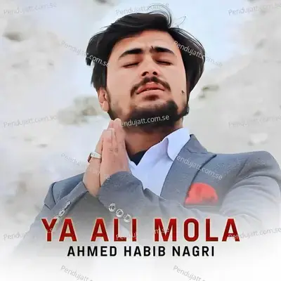 Ya Ali Mola - Ahmed Habib Nagri album cover 