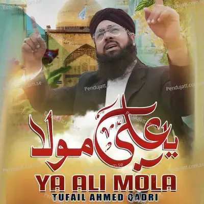 Ya Ali Mola - Tufail Ahmed Qadri album cover 